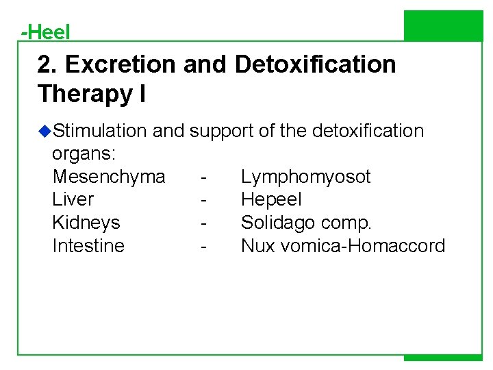 -Heel 2. Excretion and Detoxification Therapy I u. Stimulation and support of the detoxification