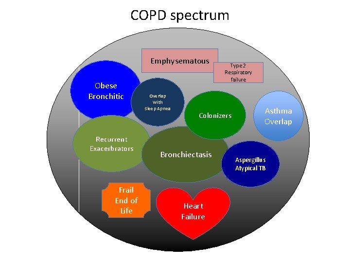 COPD spectrum Emphysematous Obese Bronchitic Recurrent Exacerbrators Frail End of Life Overlap With Sleep