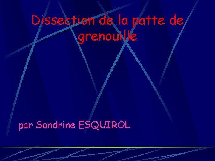 Dissection de la patte de grenouille par Sandrine ESQUIROL 