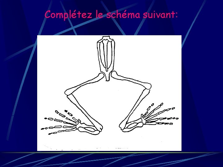 Complétez le schéma suivant: 