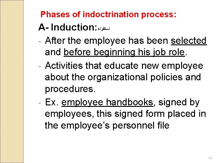 Phases of indoctrination process: A- Induction: ﺍﺳﺘﻘﺮﺍﺀ - After the employee has been selected