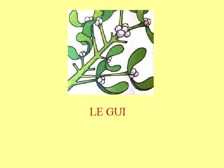 LE GUI 