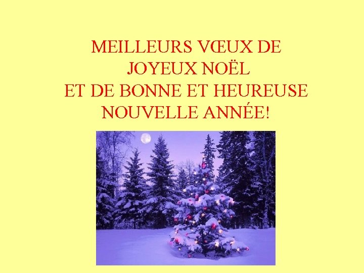 MEILLEURS VŒUX DE JOYEUX NOËL ET DE BONNE ET HEUREUSE NOUVELLE ANNÉE! 