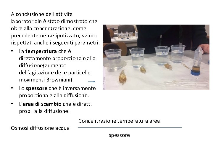 A conclusione dell’attività laboratoriale è stato dimostrato che oltre alla concentrazione, come precedentemente ipotizzato, A conclusione dell’attività laboratoriale è stato dimostrato che oltre alla concentrazione, come precedentemente ipotizzato,