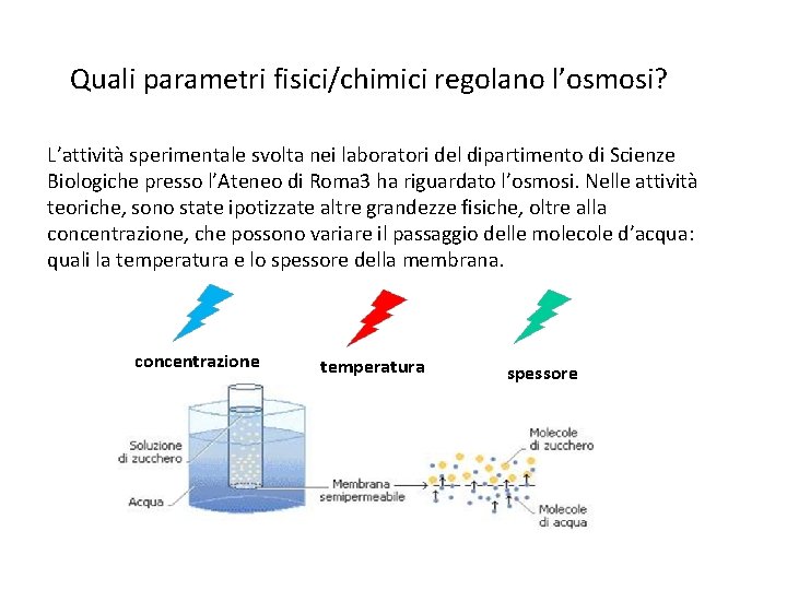 Quali parametri fisici/chimici regolano l’osmosi? L’attività sperimentale svolta nei laboratori del dipartimento di Scienze Quali parametri fisici/chimici regolano l’osmosi? L’attività sperimentale svolta nei laboratori del dipartimento di Scienze