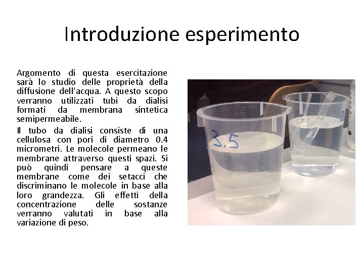 Introduzione esperimento Argomento di questa esercitazione sarà lo studio delle proprietà della diffusione dell’acqua. Introduzione esperimento Argomento di questa esercitazione sarà lo studio delle proprietà della diffusione dell’acqua.