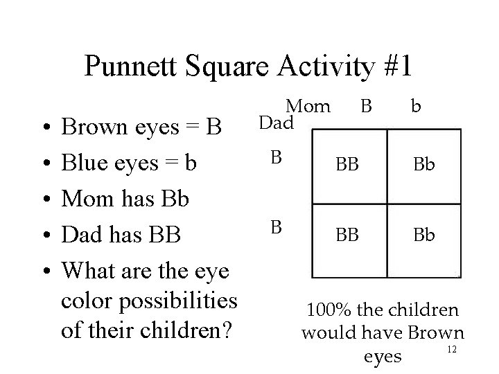 Punnett Square Activity #1 • • • Brown eyes = B Blue eyes =