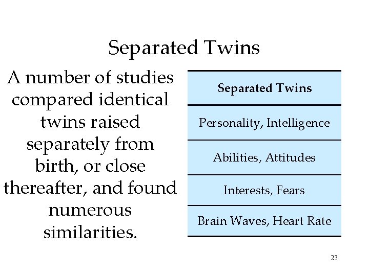 Separated Twins A number of studies compared identical twins raised separately from birth, or