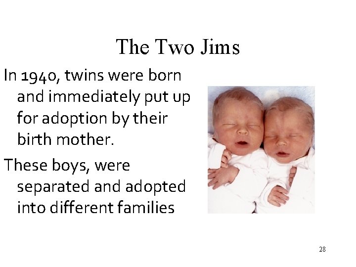 The Two Jims In 1940, twins were born and immediately put up for adoption