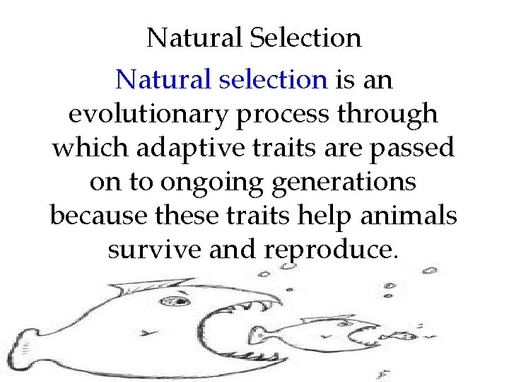 Natural Selection Natural selection is an evolutionary process through which adaptive traits are passed