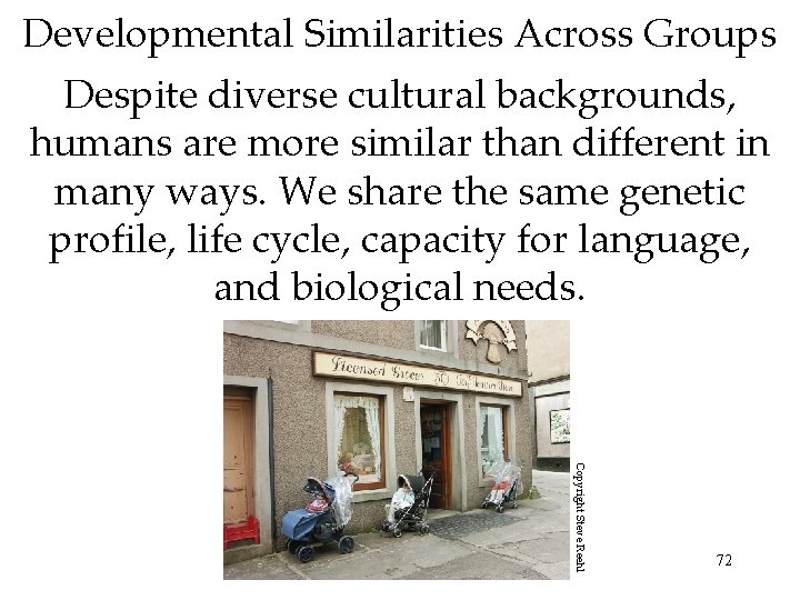 Developmental Similarities Across Groups Despite diverse cultural backgrounds, humans are more similar than different