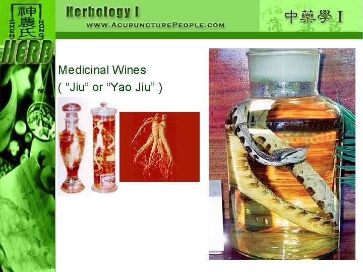 Medicinal Wines ( “Jiu” or “Yao Jiu” ) 