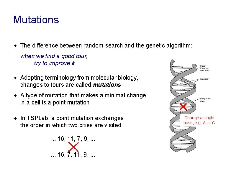 Mutations ✦ The difference between random search and the genetic algorithm: when we find Mutations ✦ The difference between random search and the genetic algorithm: when we find