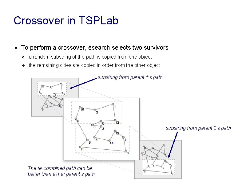 Crossover in TSPLab ✦ To perform a crossover, esearch selects two survivors ❖ a Crossover in TSPLab ✦ To perform a crossover, esearch selects two survivors ❖ a