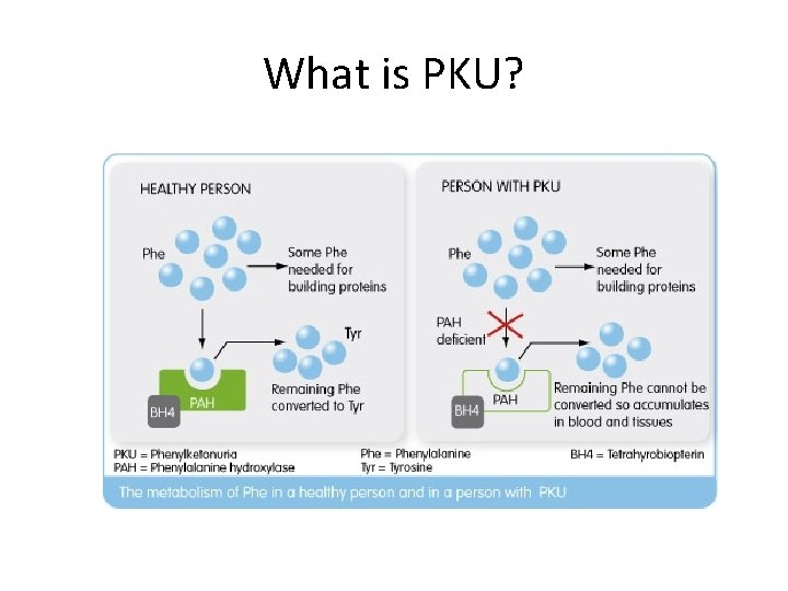 What is PKU? 