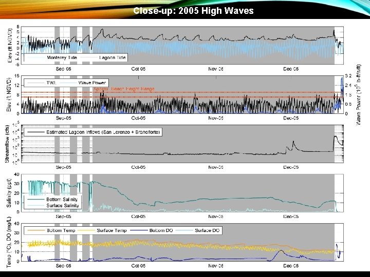 Close-up: 2005 High Waves 