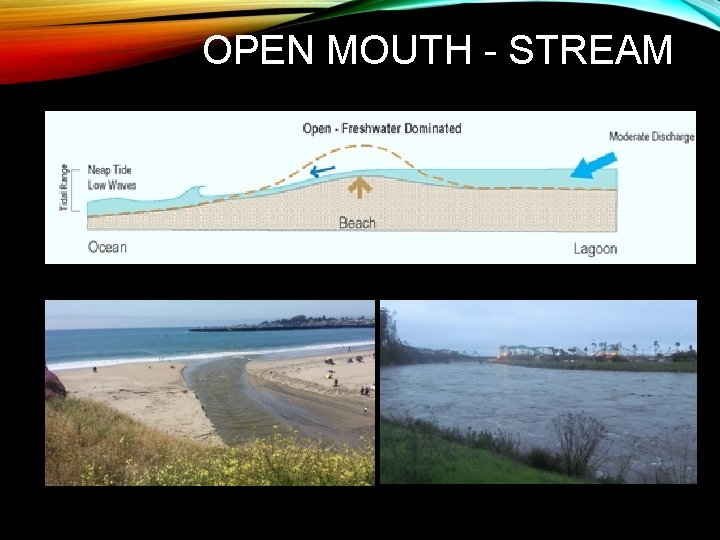 OPEN MOUTH - STREAM 