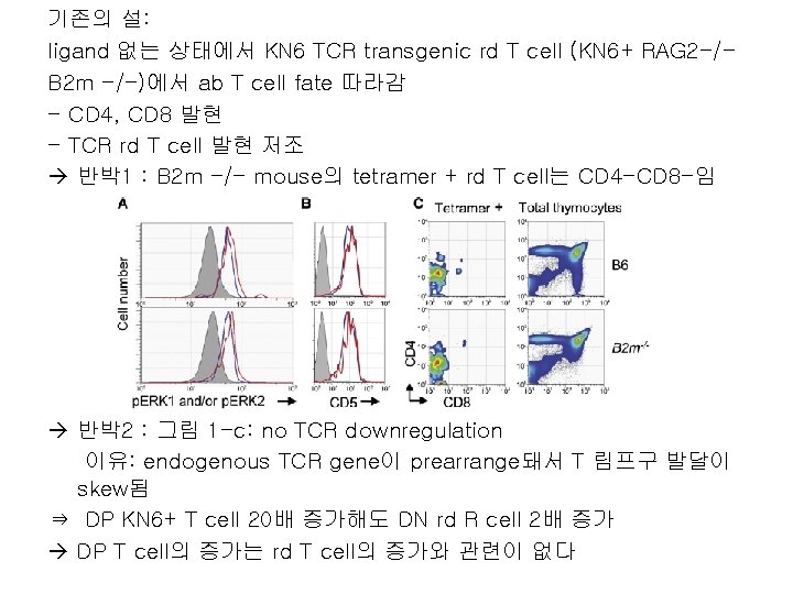 기존의 설: ligand 없는 상태에서 KN 6 TCR transgenic rd T cell (KN 6+