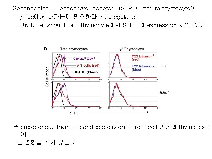 Sphongosine-1 -phosphate receptor 1(S 1 P 1): mature thymocyte이 Thymus에서 나가는데 필요하다… upregulation 그러나