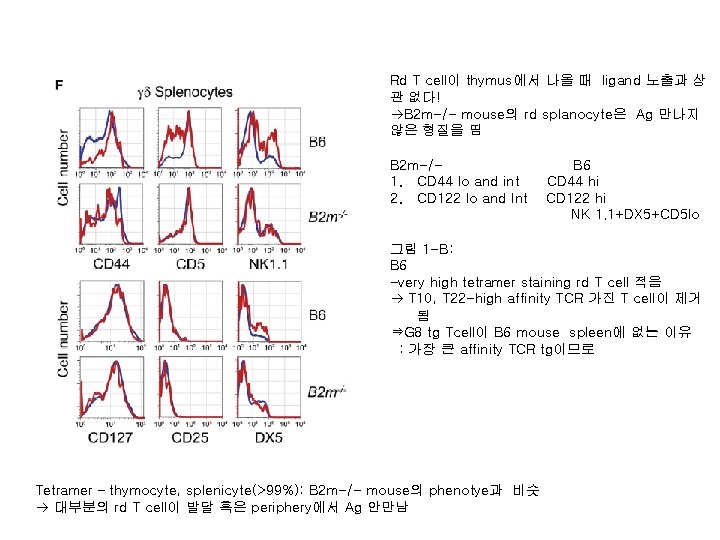 Rd T cell이 thymus에서 나올 때 ligand 노출과 상 관 없다! B 2 m-/-