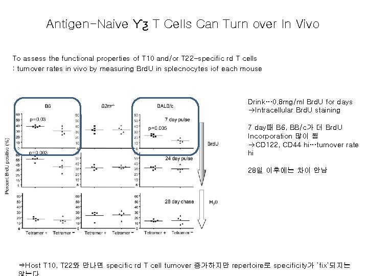 Antigen-Naive Ƴƺ T Cells Can Turn over In Vivo To assess the functional properties