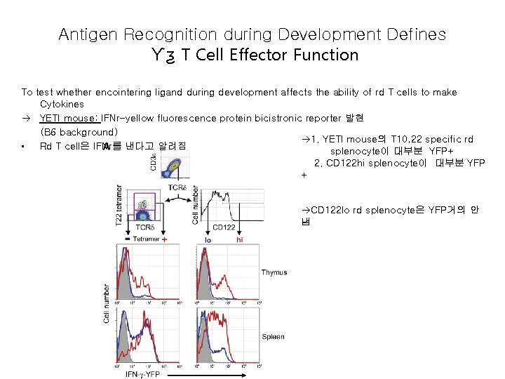 Antigen Recognition during Development Defines Ƴƺ T Cell Effector Function To test whether encointering