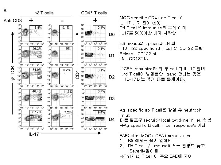 MOG specific CD 4+ ab T cell 이 IL-17 내기 전에 (d 3) Rd