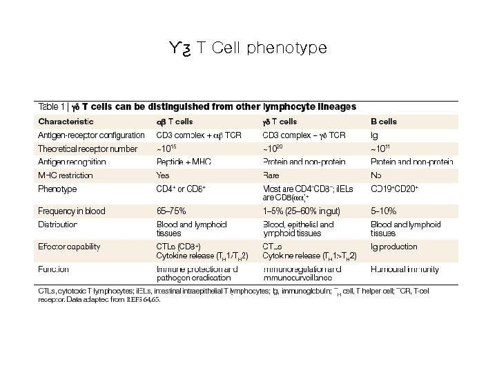 Ƴƺ T Cell phenotype 