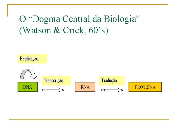 O “Dogma Central da Biologia” (Watson & Crick, 60’s) 