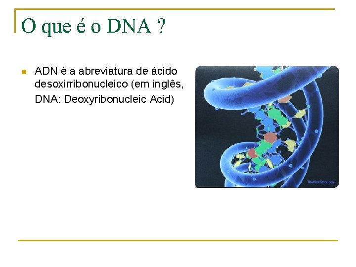 O que é o DNA ? n ADN é a abreviatura de ácido desoxirribonucleico