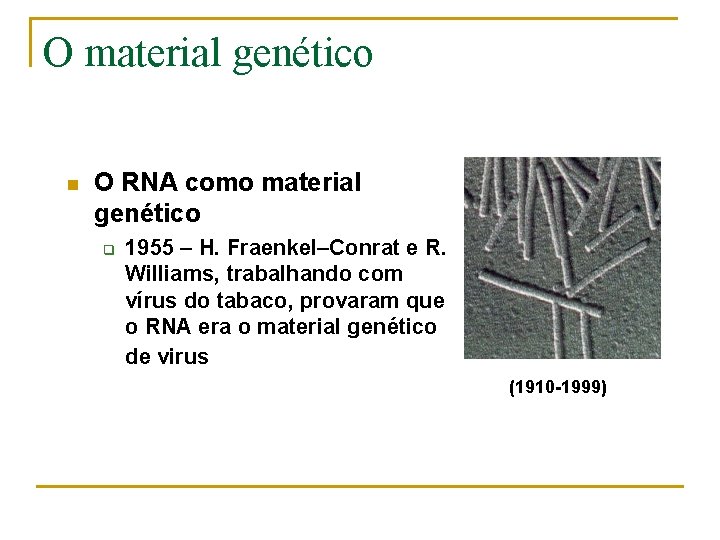 O material genético n O RNA como material genético q 1955 – H. Fraenkel–Conrat