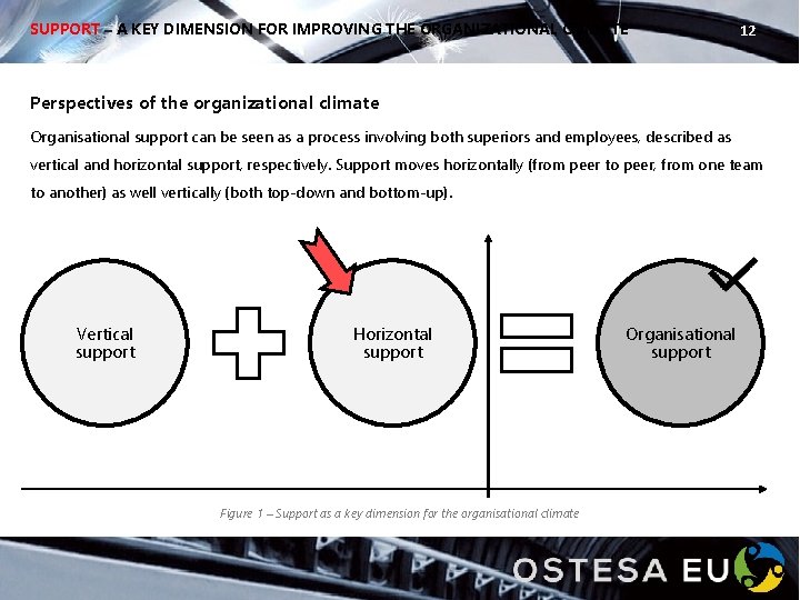 SUPPORT – A KEY DIMENSION FOR IMPROVING THE ORGANIZATIONAL CLIMATE 12 Perspectives of the