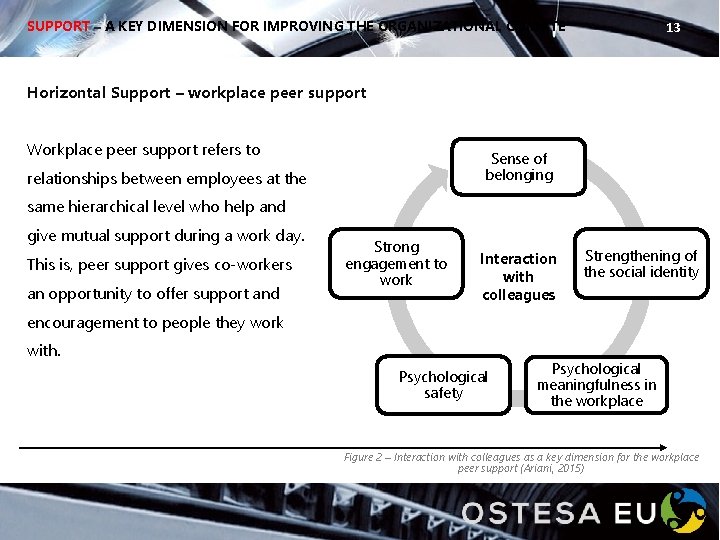 SUPPORT – A KEY DIMENSION FOR IMPROVING THE ORGANIZATIONAL CLIMATE 13 Horizontal Support –