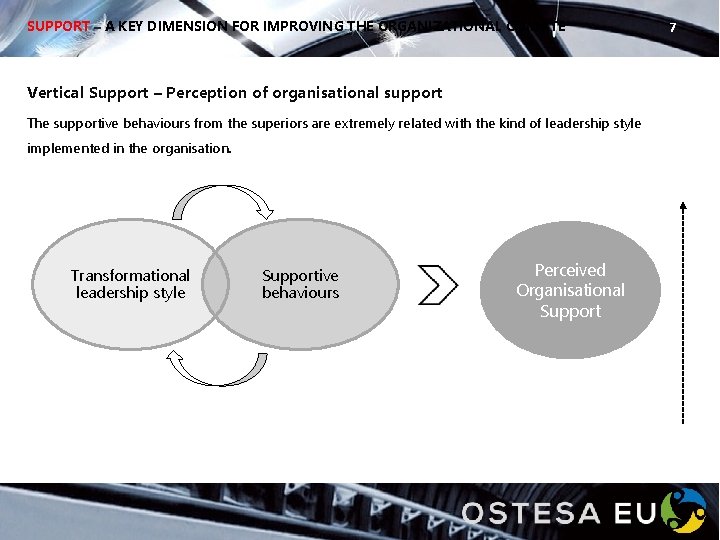 SUPPORT – A KEY DIMENSION FOR IMPROVING THE ORGANIZATIONAL CLIMATE Vertical Support – Perception