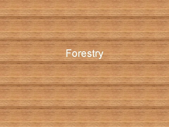 Forestry 