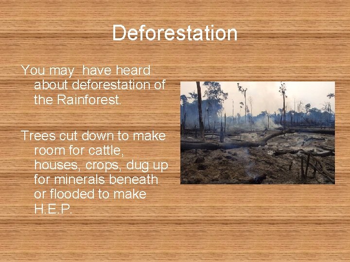 Deforestation You may have heard about deforestation of the Rainforest. Trees cut down to