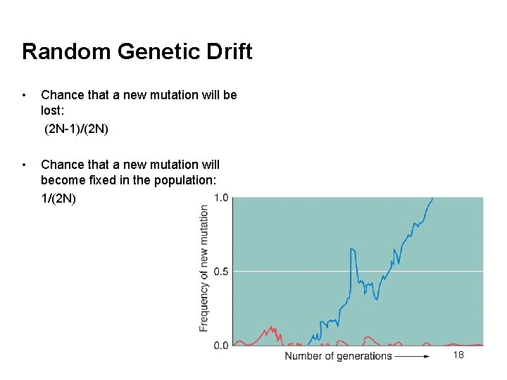 Random Genetic Drift • Chance that a new mutation will be lost: (2 N-1)/(2