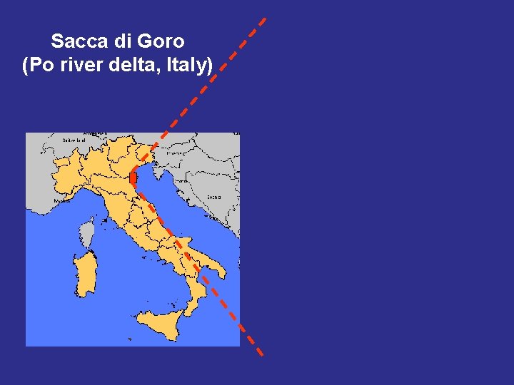 Sacca di Goro (Po river delta, Italy) 