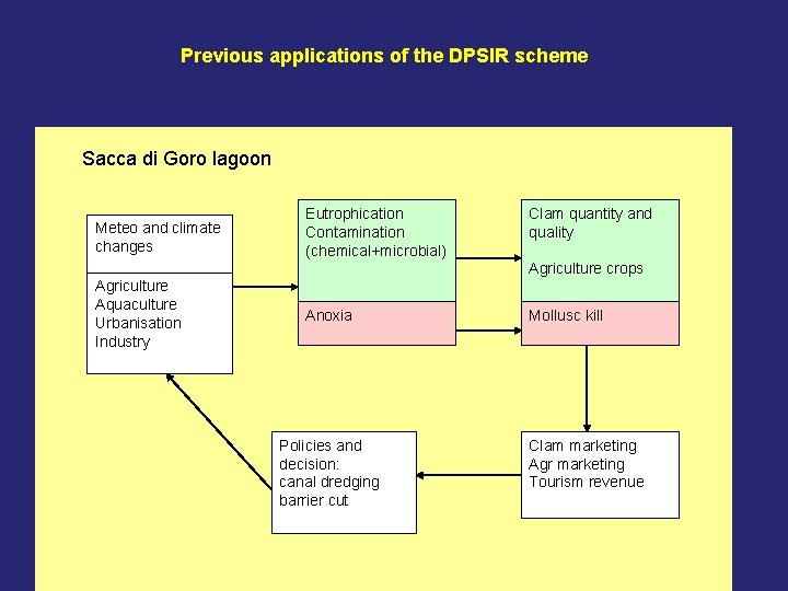 Previous applications of the DPSIR scheme Sacca di Goro lagoon Meteo and climate changes