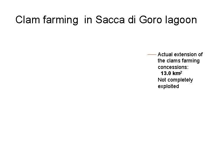 Clam farming in Sacca di Goro lagoon Actual extension of the clams farming concessions: