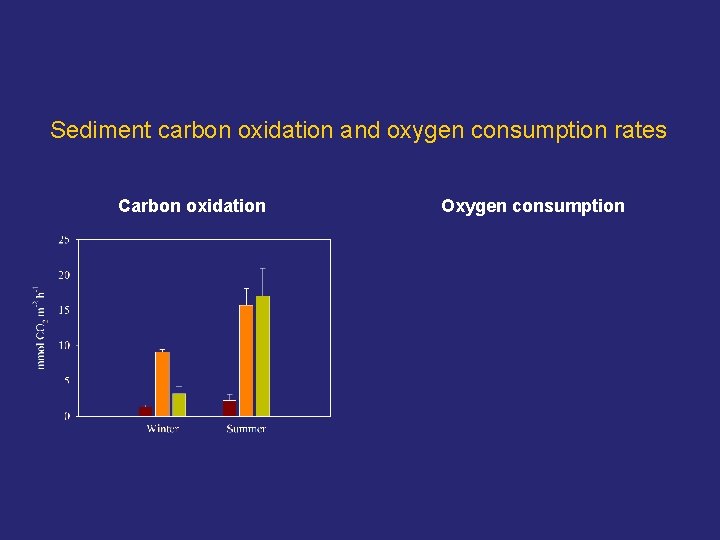 Sediment carbon oxidation and oxygen consumption rates Carbon oxidation Oxygen consumption 