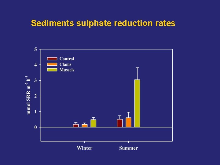 Sediments sulphate reduction rates 