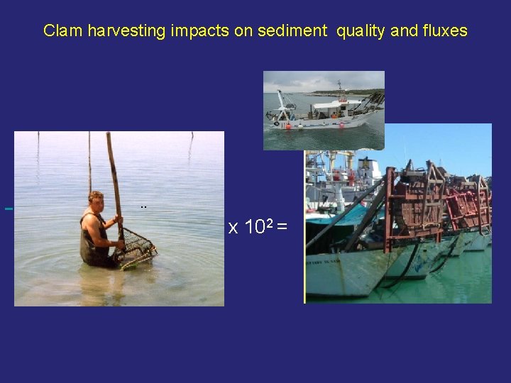 Clam harvesting impacts on sediment quality and fluxes . x 102 = 