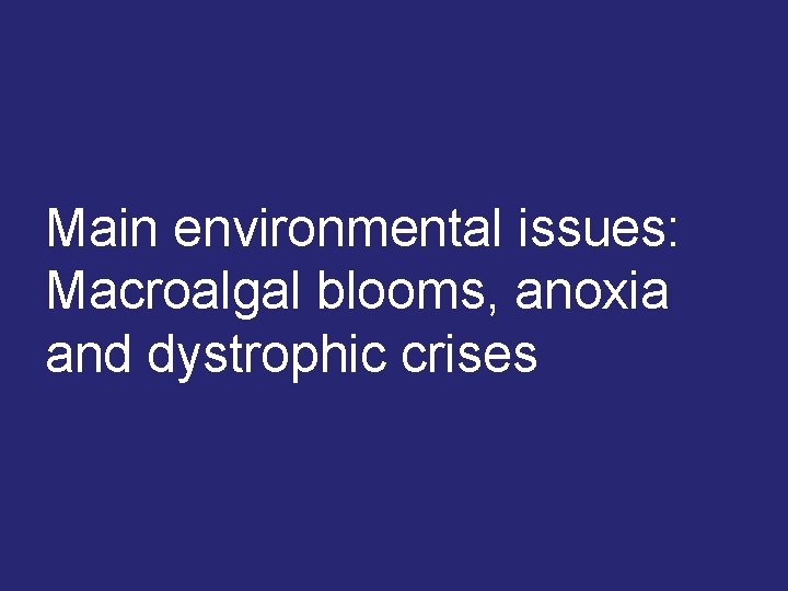 Main environmental issues: Macroalgal blooms, anoxia and dystrophic crises 