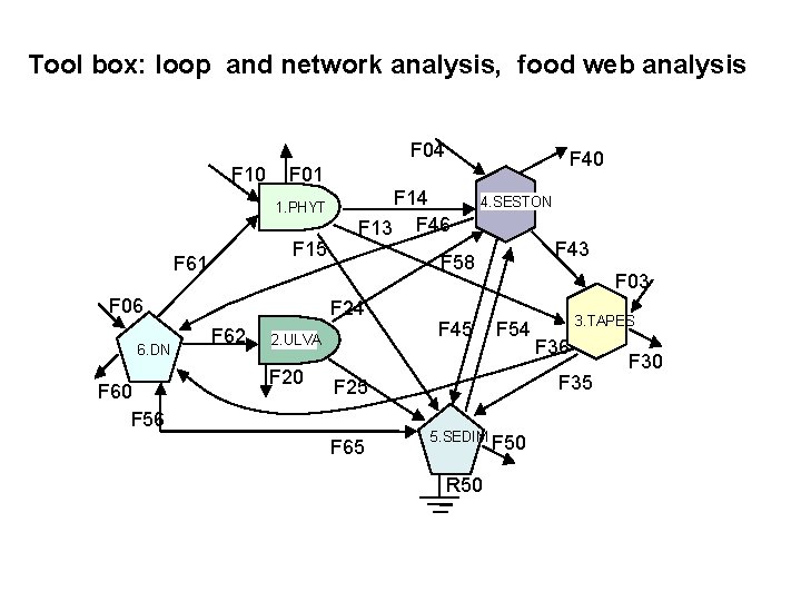 Tool box: loop and network analysis, food web analysis F 04 F 10 1.