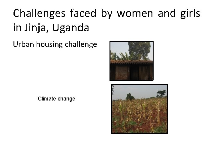 Challenges faced by women and girls in Jinja, Uganda Urban housing challenge Climate change