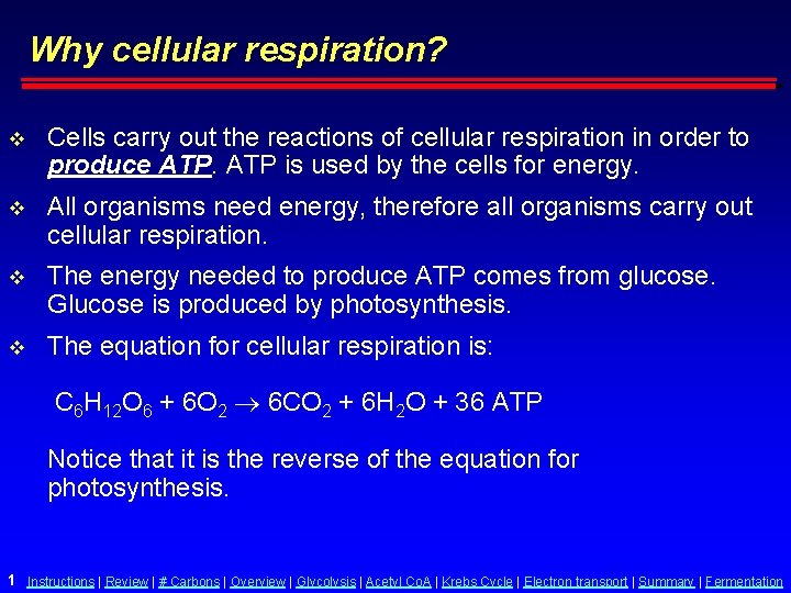 Why cellular respiration v Cells carry out the