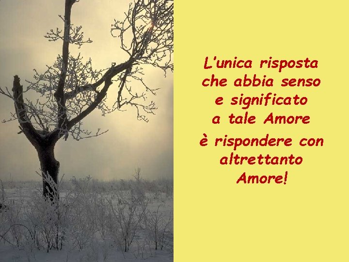 L’unica risposta che abbia senso e significato a tale Amore è rispondere con altrettanto