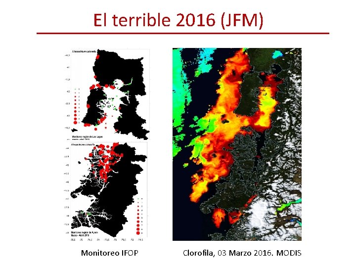 El terrible 2016 (JFM) Monitoreo IFOP Clorofila, 03 Marzo 2016. MODIS 