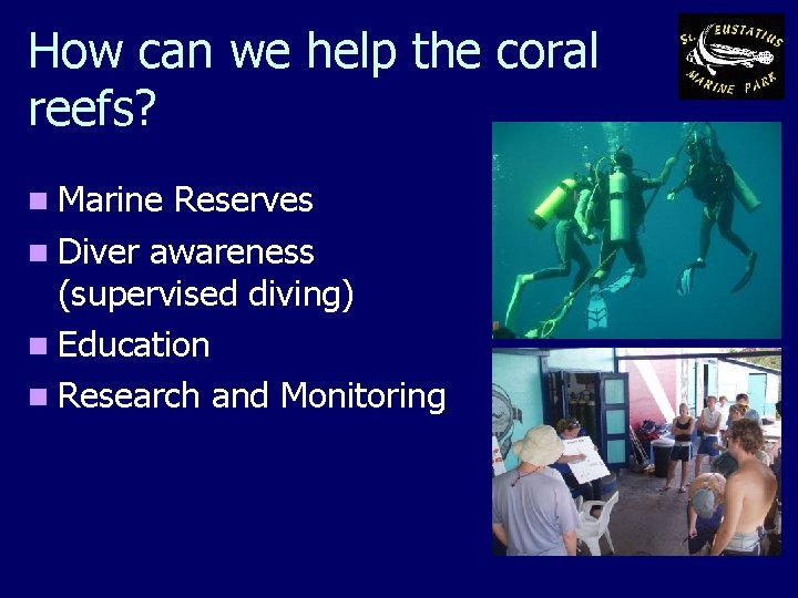 How can we help the coral reefs? n Marine Reserves n Diver awareness (supervised
